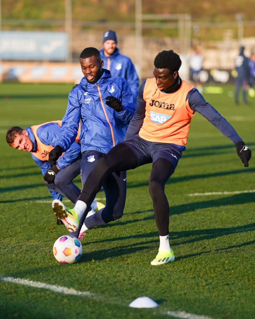 TSG Hoffenheim tigersportnews